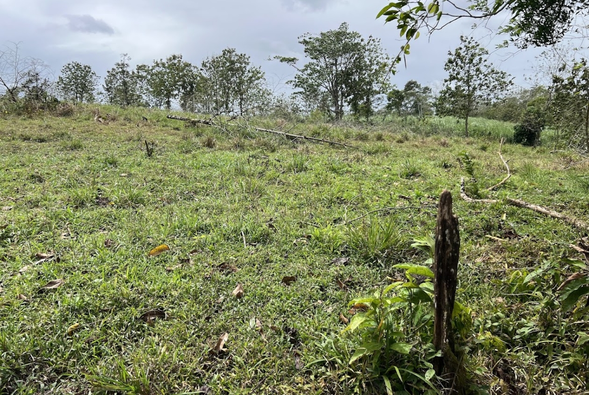 Terreno en San Carlos