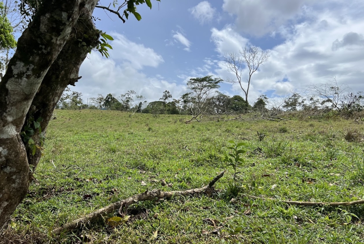 Terreno en San Carlos