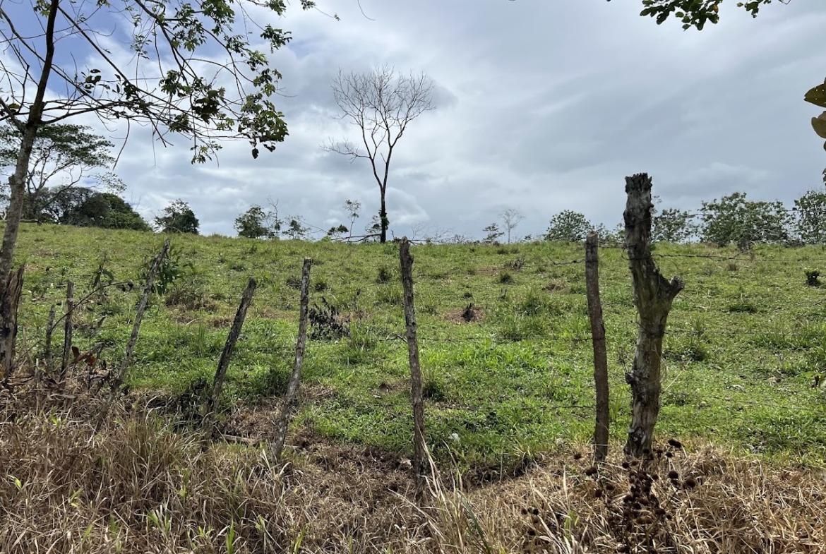 Terreno en San Carlos