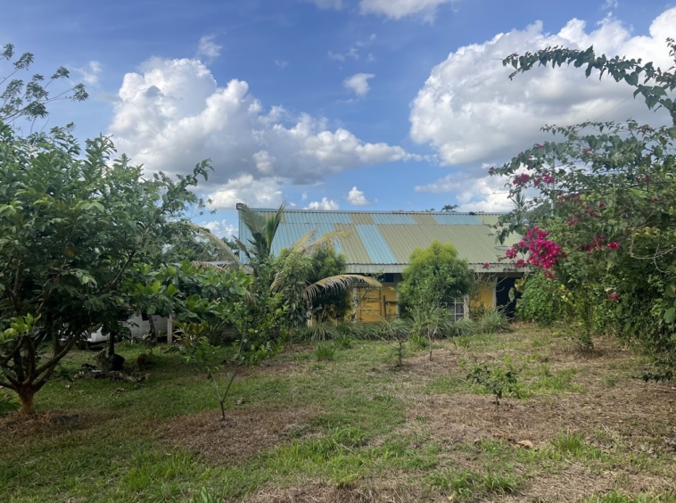 Casa en Florencia de San Carlos
